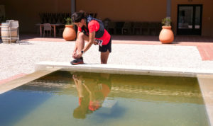 Femme se préparant à prendre le départt d'une course trail, depuis le domaine de l'Escarelle